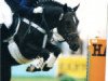 stallion Doodoo (Rhinelander, 1990, from Desteny)