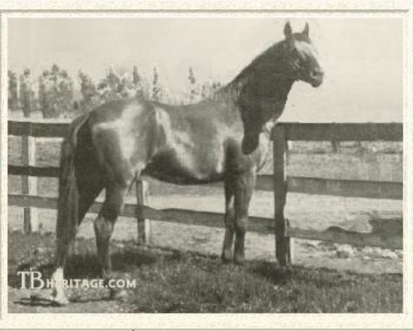 stallion Emperor of Norfolk xx (Thoroughbred, 1885, from Norfolk xx)