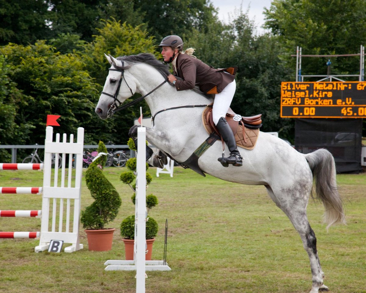 jumper Silver Metallica (Oldenburg, 2002, from Seidon)