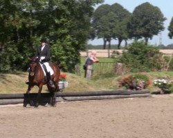 dressage horse Laura 333 (Oldenburg, 1999, from Lord Sinclair I)