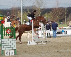 broodmare Charisma B (German Warmblood, 1994, from Cembalo)