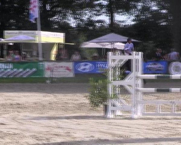 jumper Bueno (Royal Warmblood Studbook of the Netherlands (KWPN), 2006, from Colandro)