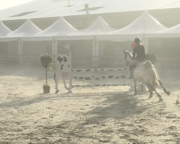 Reitturnier Balsthal 2022