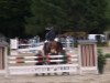 jumper Lazar 27 (German Sport Horse, 2004, from Liberty Son)