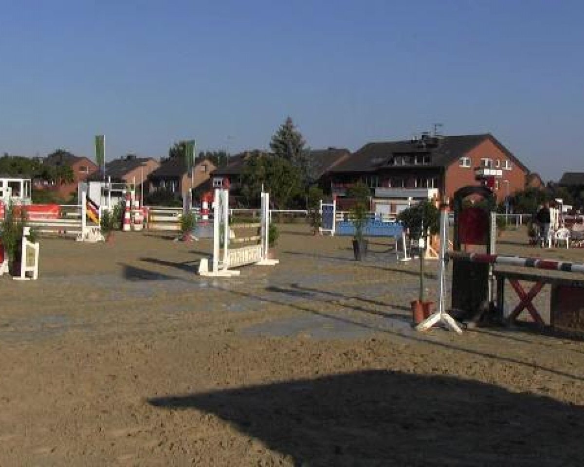 jumper Raffinesse 101 (Westphalian, 2006, from Rapptaenzer)