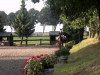 dressage horse Duplin (Rhinelander, 2007, from Don Bedo I)