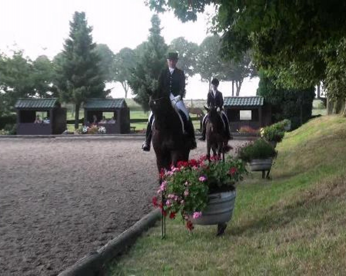 broodmare Santa - Fee (Hanoverian, 2007, from San Remo)