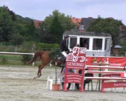 jumper Nico 1079 (German Riding Pony, 2000, from Nantano)