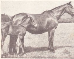 broodmare Sunbride xx (Thoroughbred, 1942, from Tai-Yang xx)