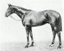 stallion Tai-Yang xx (Thoroughbred, 1930, from Solario xx)