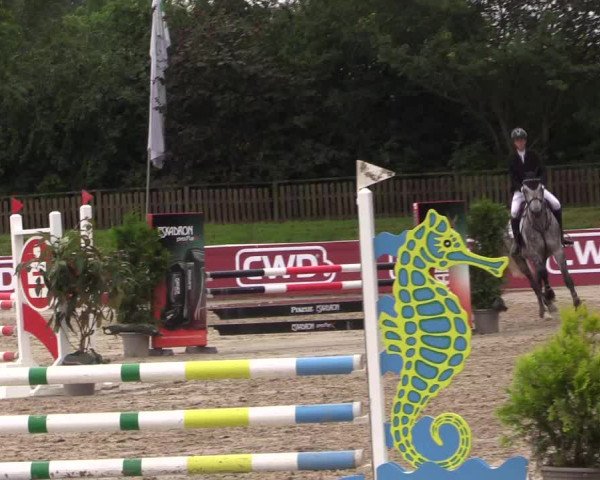 Reitturnier Melle-Ostenfelde 2022