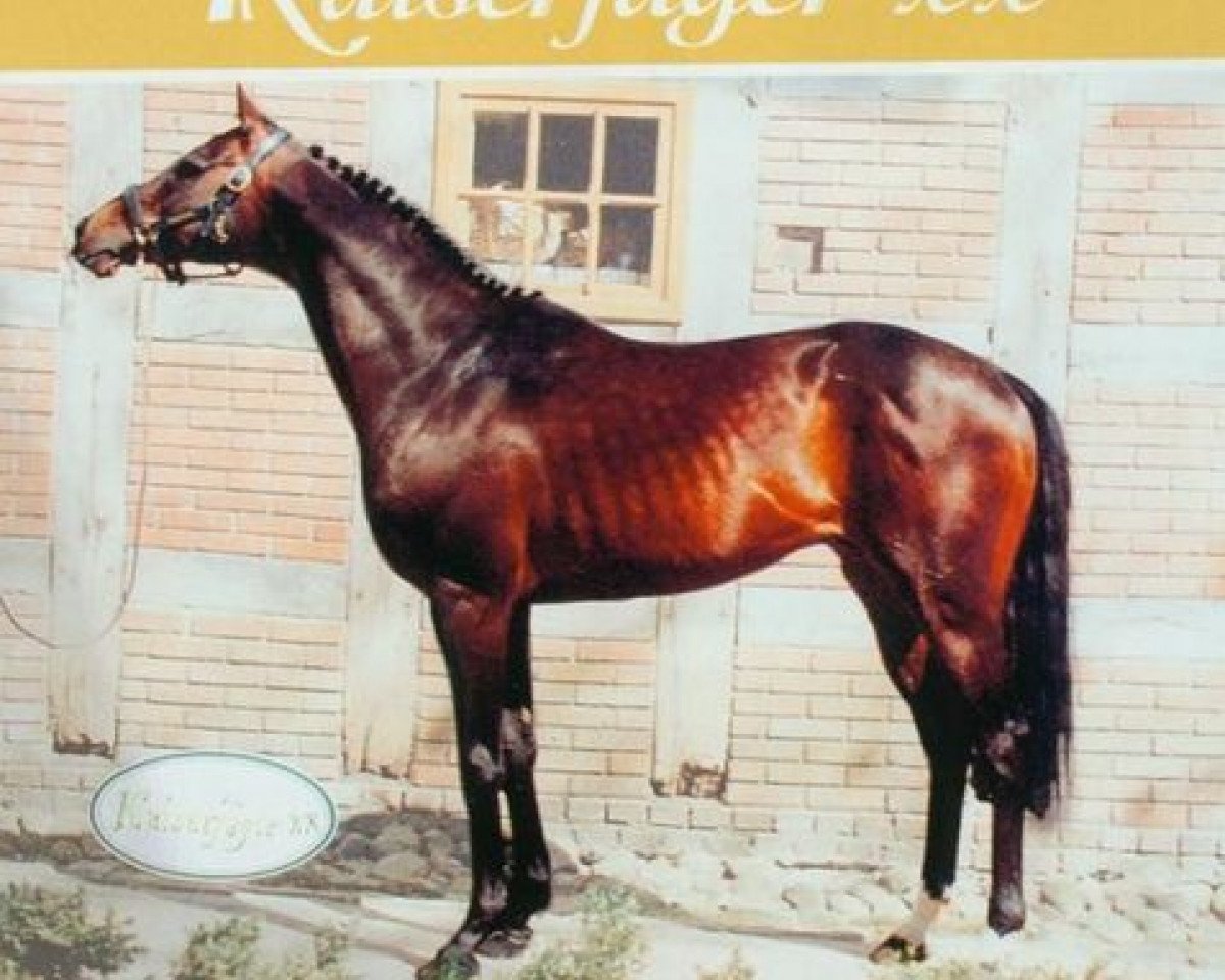 Deckhengst Kaiserjaeger xx (Englisches Vollblut, 1980, von Windwurf xx)