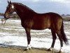 stallion Lagano (Holsteiner, 1978, from Leander)