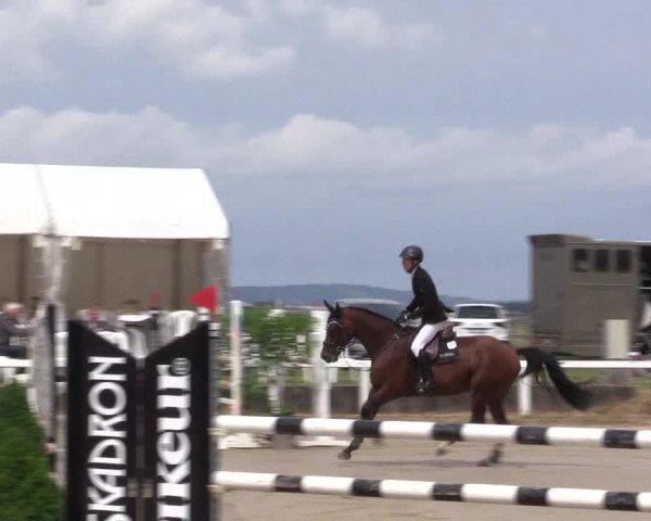 Reitturnier Melle-Ostenfelde 2022