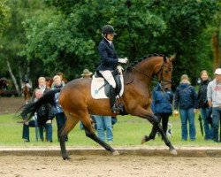 broodmare Maxima 92 (Trakehner, 2007, from Easy Game)