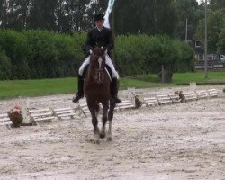 dressage horse Fidibus 68 (Westphalian, 1997, from Florestan I)