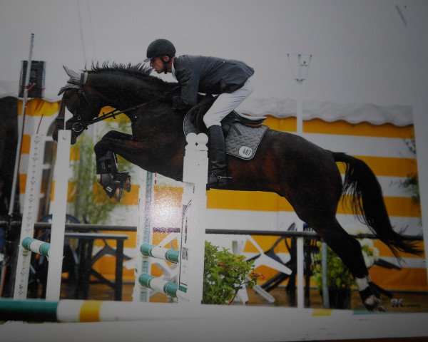 jumper Escugra (Hanoverian, 2008, from Escudo I)