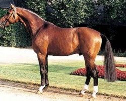 broodmare Faveura (Westphalian, 1997, from Florestan I)