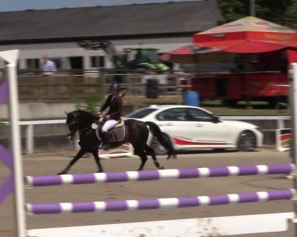 Reitturnier Melle-Ostenfelde 2022