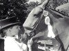 jumper Raschka (Oldenburg show jumper, 2006, from Ludwig von Bayern 168 FIN)