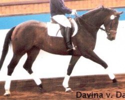 broodmare Davina (Rhinelander, 1994, from Davignon I)