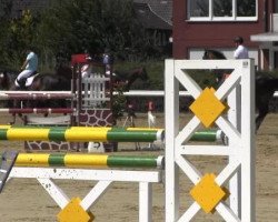 Springpferd Monti's Löwenherz (Westfale, 2001, von Lancer III)