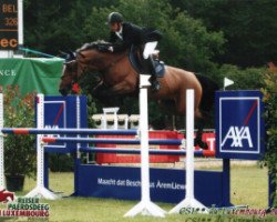 horse Orka de Tromcourt (Belgium Sporthorse, 1998, from Dublin)