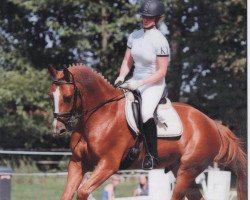 dressage horse Pontius 16 (Westphalian, 2005, from Peking)