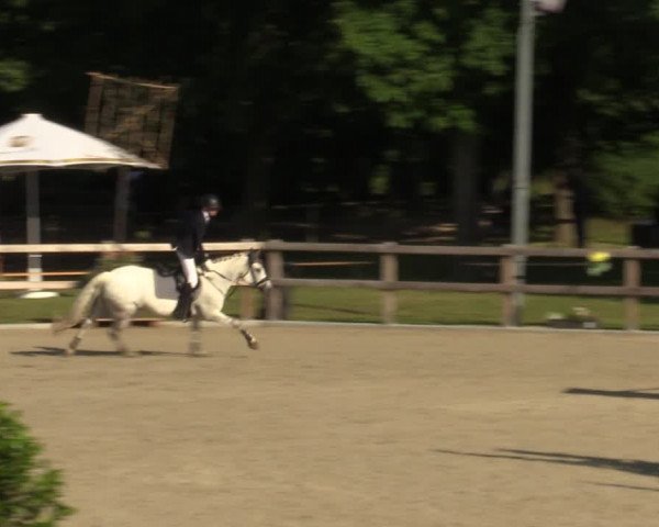 Reitturnier Barlo-Bocholt 2022