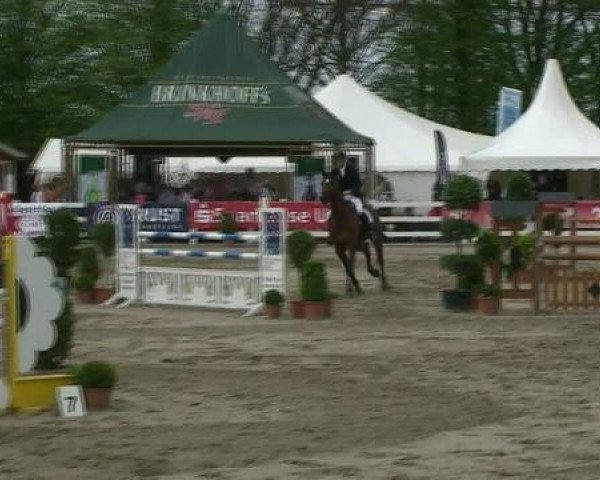 Springpferd Leon 405 (Holsteiner, 2000, von Lavaletto)