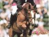 stallion Giorgio (Westphalian, 1987, from Graziano)