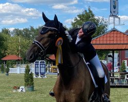 dressage horse Ma Journée (German Sport Horse, 2015, from E.H. Millennium)