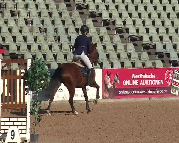 Reitturnier Kreuth/Opf. 2022