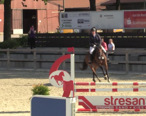 Reitturnier Barlo-Bocholt 2022