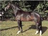 stallion Farewell I (Westphalian, 1998, from Fidermark)
