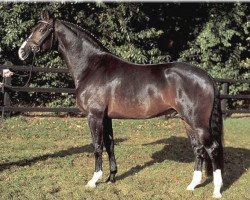 stallion Farewell I (Westphalian, 1998, from Fidermark)