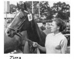 broodmare Zirza (Holsteiner, 1963, from Heidgraf)