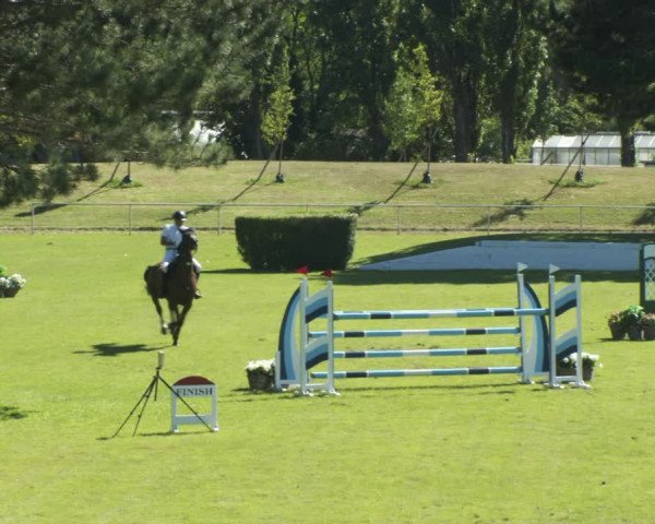 Reitturnier W, Wien-Freudenau/ASKÖ 2022