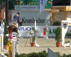 broodmare Care About Me (Oldenburg, 2005, from Chalan)