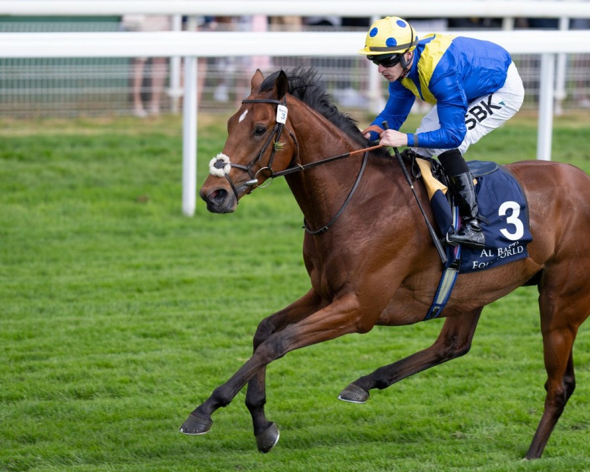 horse Desert Crown xx (Thoroughbred, 2019, from Nathaniel xx)