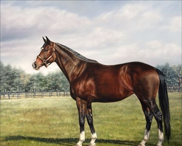 broodmare Hollywood Story xx (Thoroughbred, 2001, from Wild Rush xx)