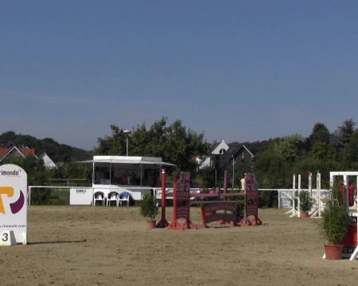 dressage horse Don Derby (German Riding Pony, 1999, from Duktus)