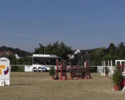 dressage horse Don Derby (German Riding Pony, 1999, from Duktus)