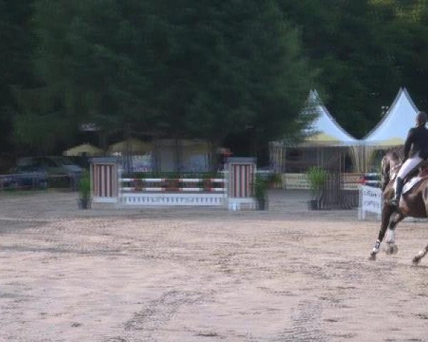 horse Fidermatch (Rhinelander, 2001, from Fidermark)