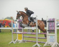 jumper Joyce L. (German Riding Pony, 2002, from Granneus B)