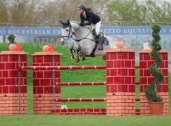 Springpferd Claudia (Schwedisches Warmblut, 2006, von VDL Cardento 933)