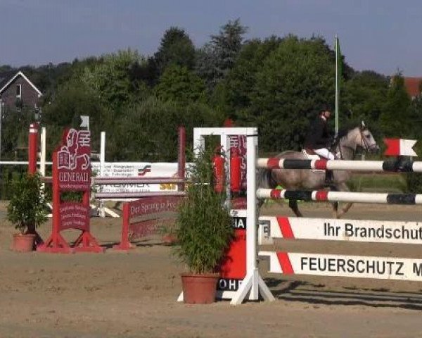 Springpferd Ramses (Deutsches Sportpferd, 2005, von Rich Charly I)