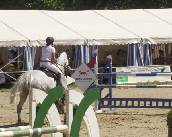 Reitturnier Heiligenwald 2022