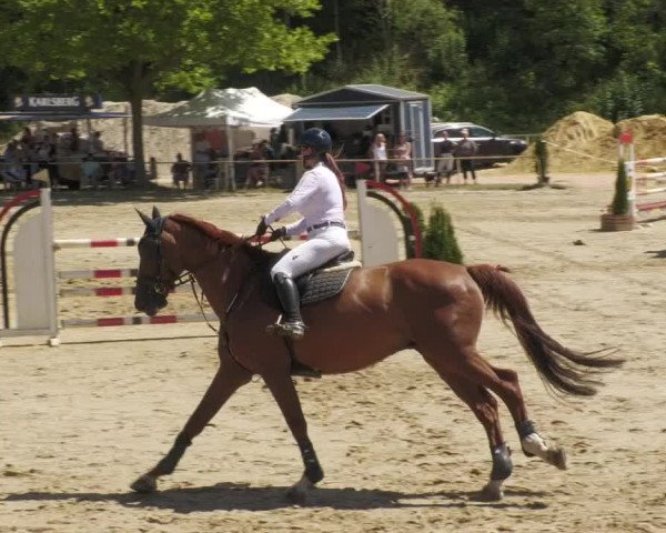 Reitturnier Heiligenwald 2022
