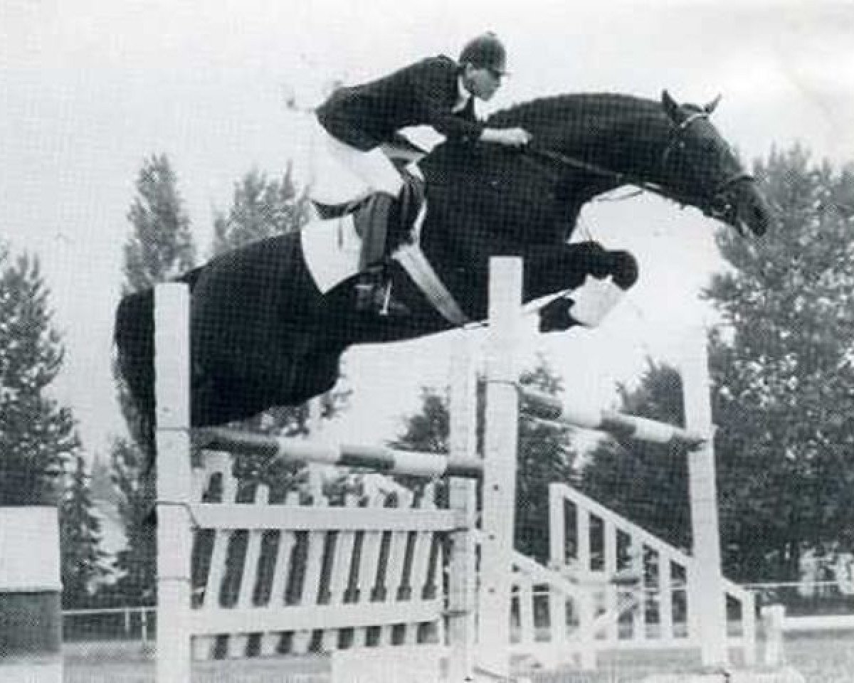 Deckhengst Lincoln (Holsteiner, 1979, von Landgraf I)